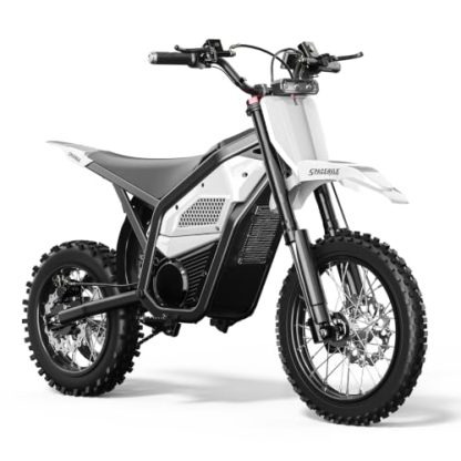 Electric Dirt Bike for Adults/Teens, 60V 55 Miles Range 3000W 37MPH