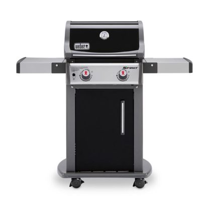2 Burner Liquid Propane Grill Black